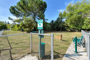Private dog park on-site